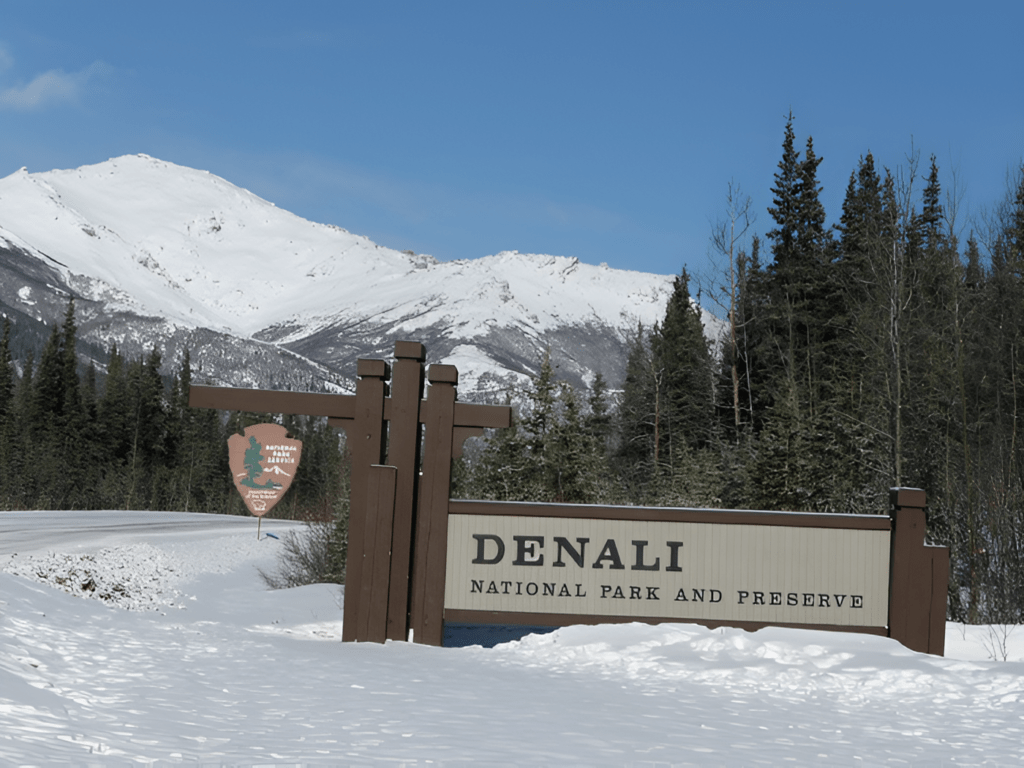 Denali National Park and Preserve