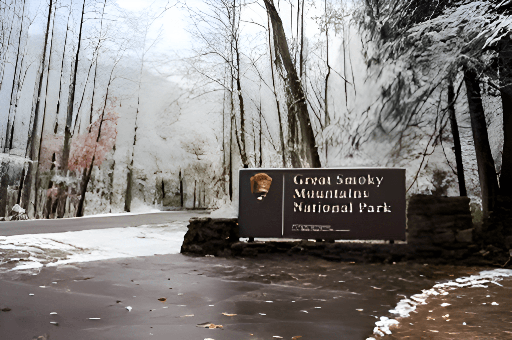 Great Smoky Mountains National Park