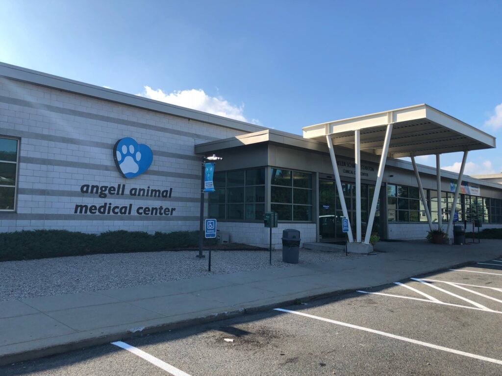 Angell Animal Medical Center_Boston, Massachusetts